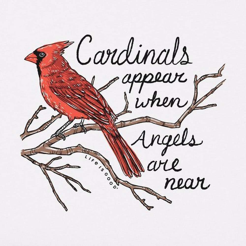 Women's Cardinals Appear Crusher Vee, Cloud White, large