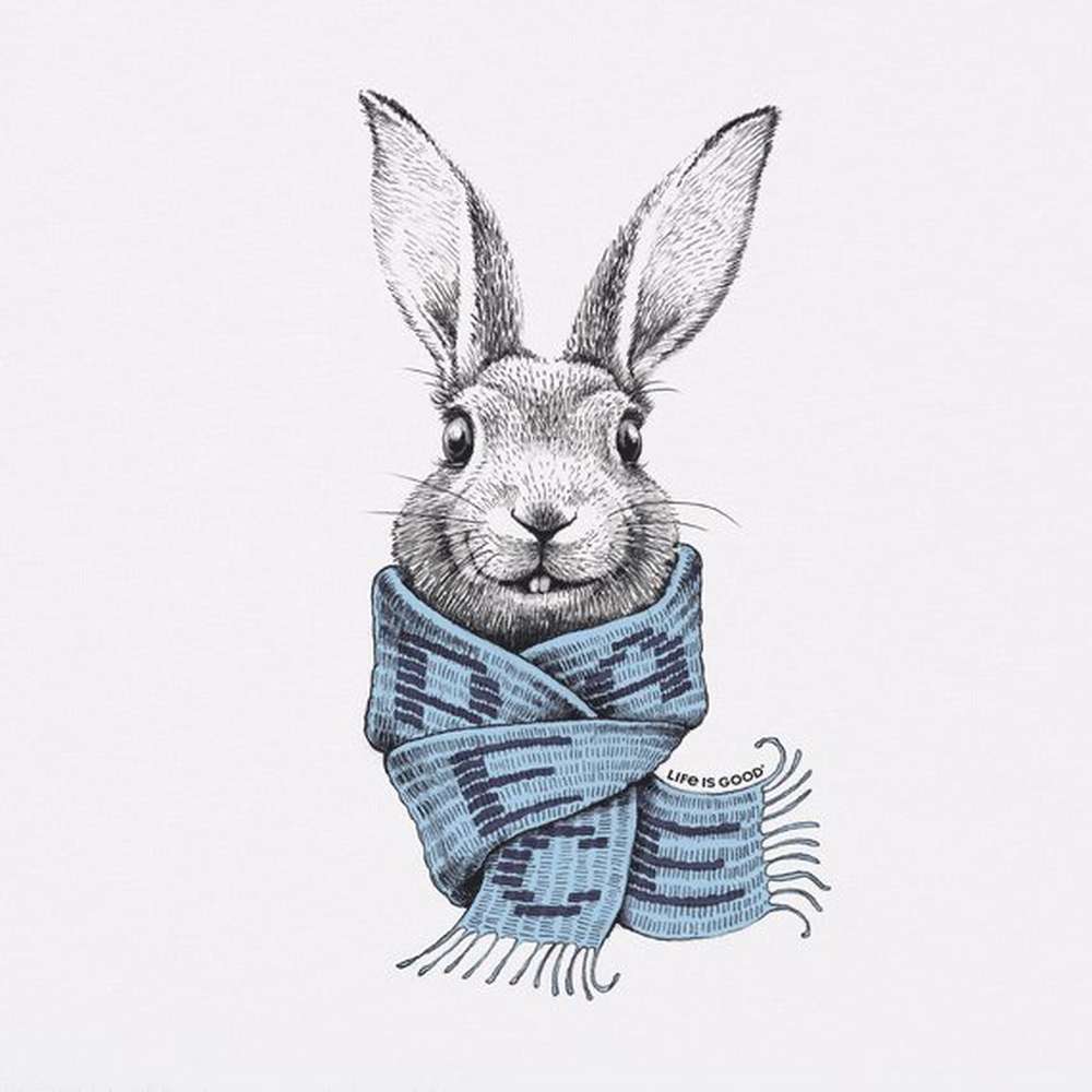 Women's Bunny Peace Scarf Short Sleeve Vee, Cloud White, large